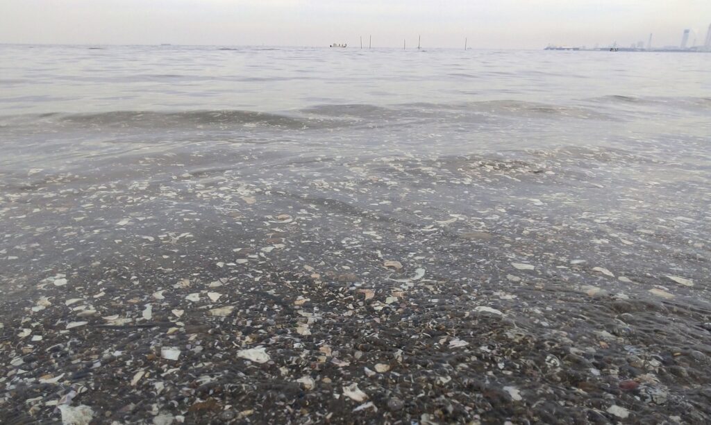 富津公園の海